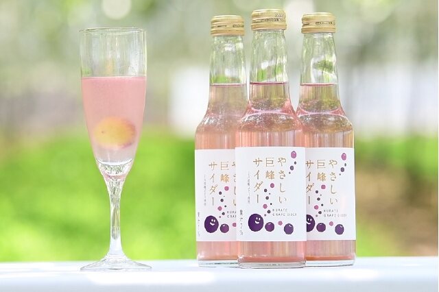 ふるさと納税 「A133やさしい巨峰サイダー」 福岡県鞍手町