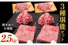 博多和牛 ３種堪能セット 2.5kg 計6パック 《30日以内に出荷予定(土日祝除く)》