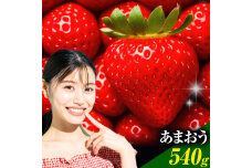 ★2026年出荷分★いちご あまおう 540g 【着日指定不可】《2026年2月中旬-4月末頃出荷》