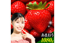 ★2026年出荷分★いちご あまおう 1080g【着日指定不可】《2026年2月中旬-4月末頃出荷》