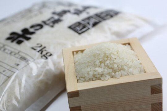 Ｂ１０１農家直送の米１２ｋｇ