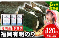 【6ヶ月定期便】有明海苔 全型 120枚《申し込み翌月から出荷》