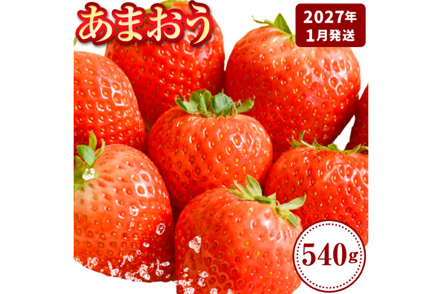いちご あまおう 先行予約 540g《2027年1月上旬-1月末頃出荷》