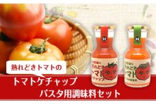 トマトケチャップとパスタ用調味料セット 花田農園《30営業日以内に出荷予定(土日祝除く)》