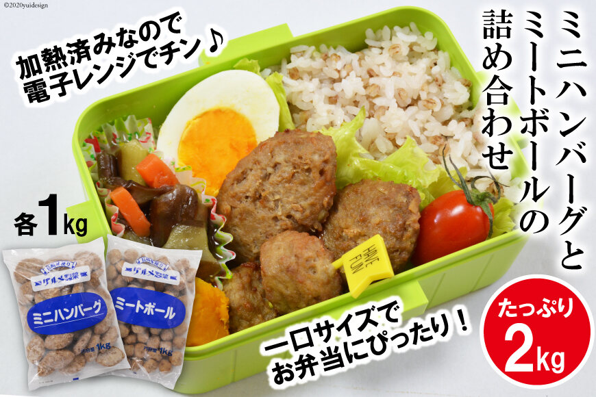 ふるさと納税 Ae232ミニハンバーグとミートボールの詰め合わせ 2kg 長崎県島原市 ふるさと納税の ふるさとぷらす