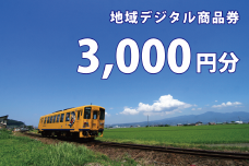 AJ700-ｂ テツふる・地域デジタル商品券（3,000円分）