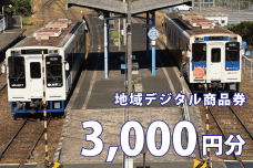 テツふる・地域デジタル商品券（3,000円分）