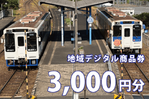 テツふる・地域デジタル商品券（3,000円分）