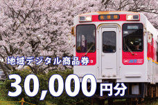 テツふる・地域デジタル商品券（30,000円分）