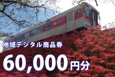 テツふる・地域デジタル商品券（60,000円分）