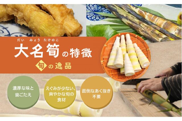 ふるさと納税 「【2026年お届け】大名筍 3kg ( 約11本 ) ( 竹島産