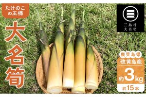 【2025年お届け】大名筍 3kg ( 約15本 ) ( 硫黄島産 )