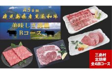 【※12月末にて受付終了※】【定期便/全4回】贅沢 A5等級　鹿児島県産黒毛和牛の定期便-B