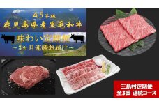 【定期便/全3回-3カ月連続お届け】A5等級　鹿児島県産黒毛和牛　味わい　定期便