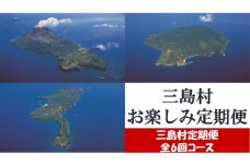 【※12月末にて受付終了※】【定期便/全6回】三島村からのお届け　お楽しみ定期便