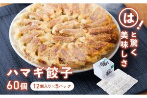 は！と美味しいハマギ餃子　60個 (12個入り×5パック)