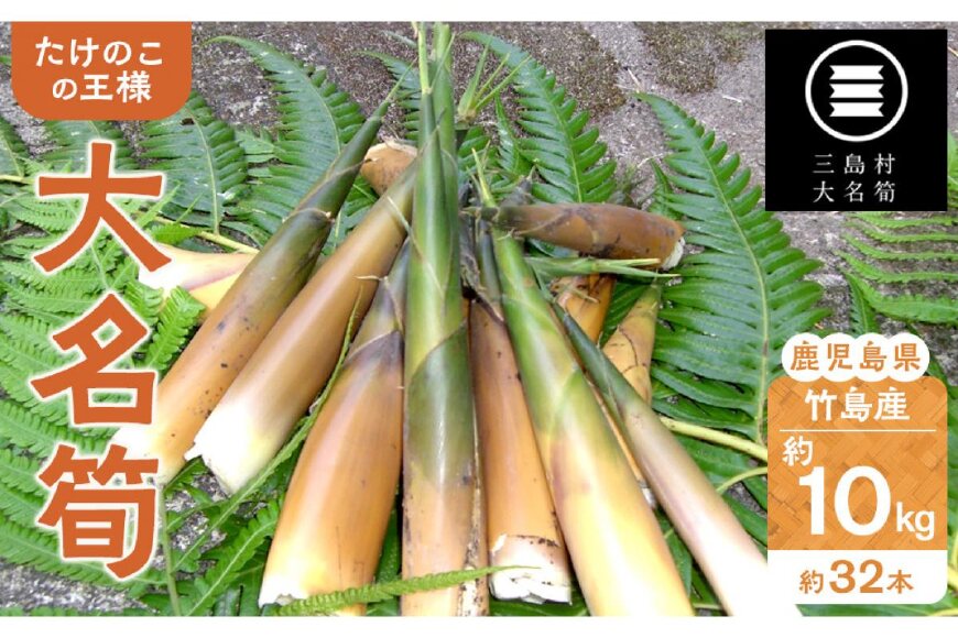 【2026年お届け】大名筍 10kg ( 約32本 )( 竹島産 )★2026年5月中旬以降発送予定