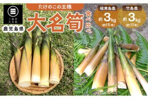 【2026年お届け】大名筍3kg（硫黄島産）＆大名筍3kg（竹島産）の食べ比べセット