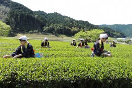 特産品の育成及び地域産業の振興に関する事業