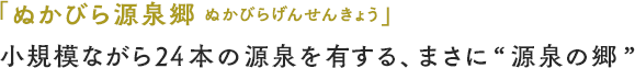 「ぬかびら源泉郷」小規模ながら24本の源泉を有する、まさに“源泉の郷”